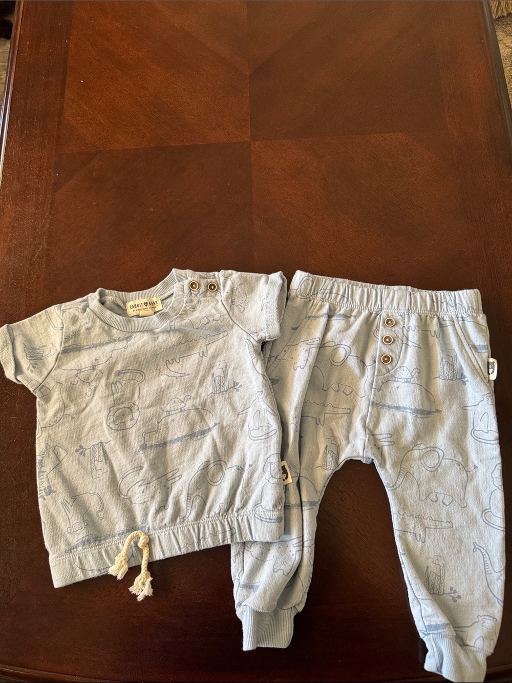Kids Light Blue Dino Matching Set by Little & Fox